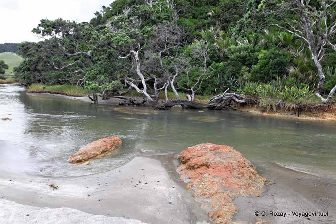 River Inlet, Whananaki, Northland - New Zealand