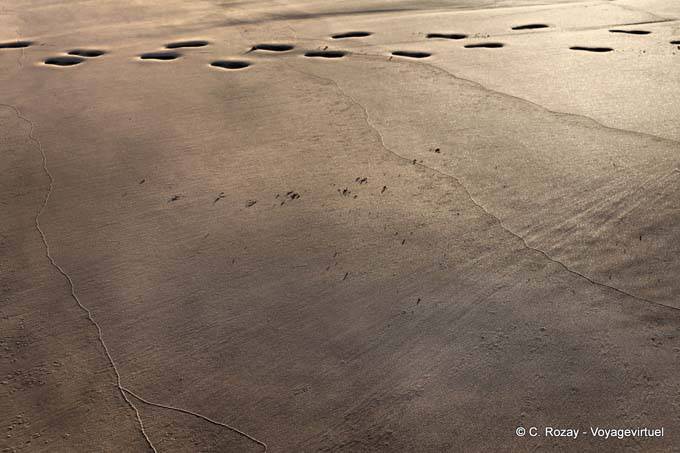 Footsteps in the sand Sandy Bay, Whananaki, Northland - New Zealand