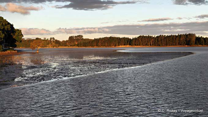 Evening light on Whananaki, Northland - New Zealand