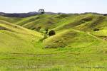 Oakura Road to Bland Bay, Northland, New Zealand.
