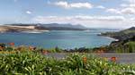 Ti Pikinga scenic reserve, Hokianga Harbour Oponomi, Northland, New Zealand.