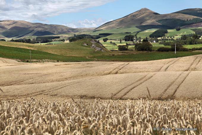 Clinton, Otago - New Zealand