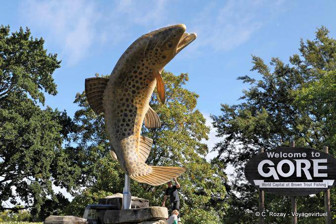 Gore Brown Fishing Hole, Otago - New Zealand