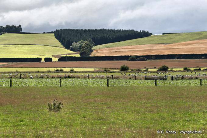 Lumsden Lights, Otago - New Zealand