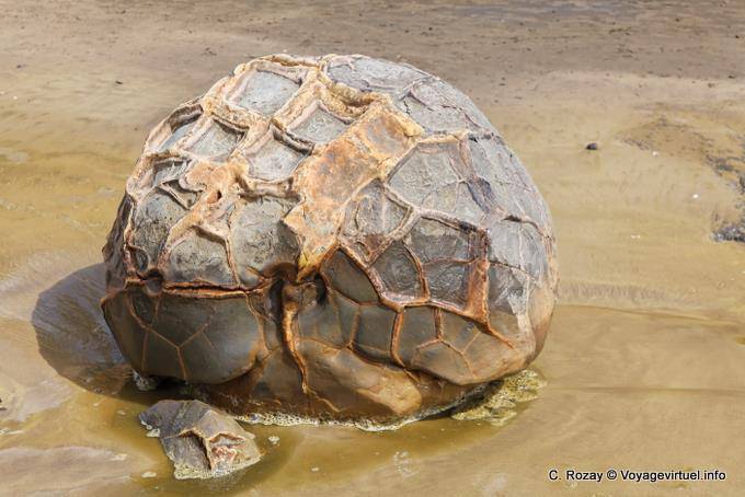 Ball heart, Moeraki Boulders Scenic Reserve, Otago - New Zealand