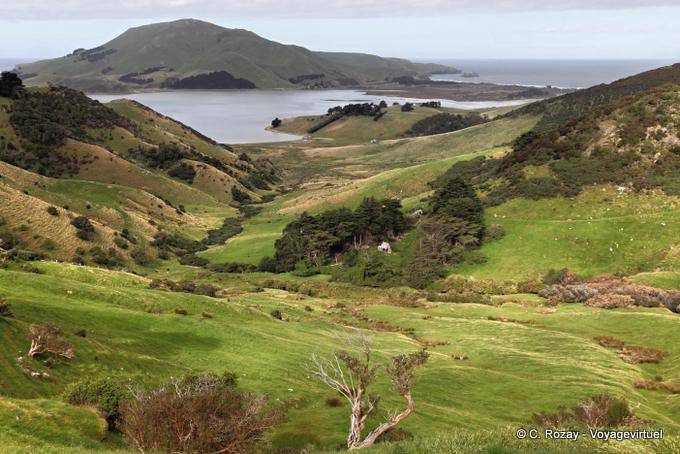 Dunedin Otago Peninsula Panorama Sheppard Road - New Zealand