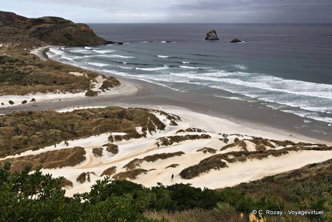 Otago Peninsula Dunedin Sandfly Bay - New Zealand