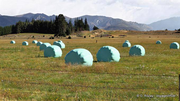 Hay bales on Albert Town Road, Lake Hawea, Southland - New Zealand