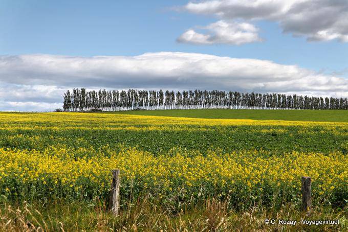 Road to Otautau Invercargill, Southland - New Zealand