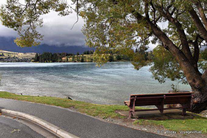 Bench under a tree, Queenstown Lake Wakatipu, Southland - New Zealand