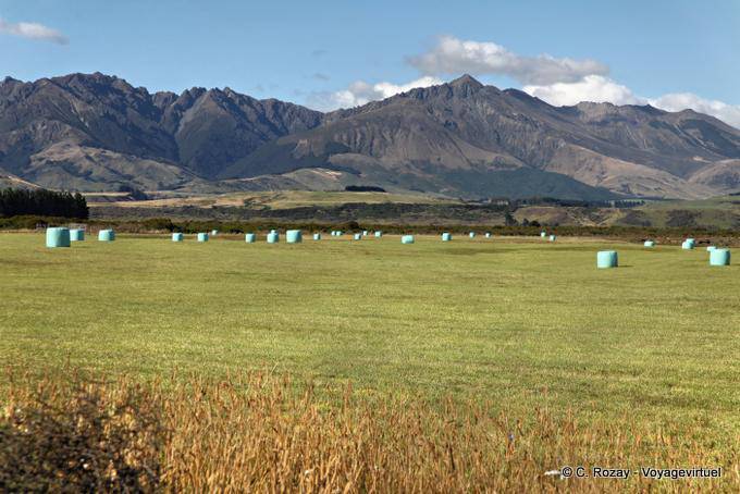 Culture in the plain, Road From Te Anau to Lumsden, Southland - New Zealand