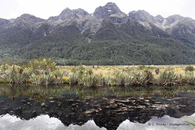 Mirror Lakes Eglinton River Road to Milford Sound Te Anau, Southland - New Zealand