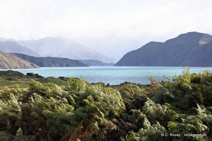 Colors on the lake, Lake Wanaka, Southland - New Zealand