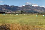 Culture in the plain, Road From Te Anau to Lumsden, Southland, New Zealand.