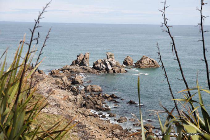 Dislocated rocks at the tip, Cape Foulwind, Westcoast - New Zealand