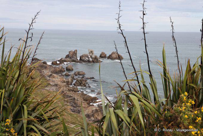 Cape Foulwind, Westcoast - New Zealand