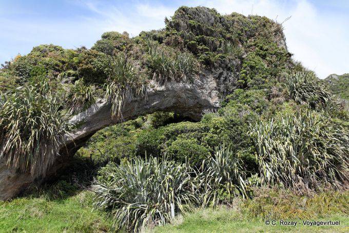Natural rock bridge Paparoa Between Woodpecker And Hatters Bay, Westcoast - New Zealand