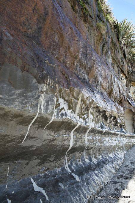Cliff strata Paparoa Park, Truman Track, Westcoast - New Zealand