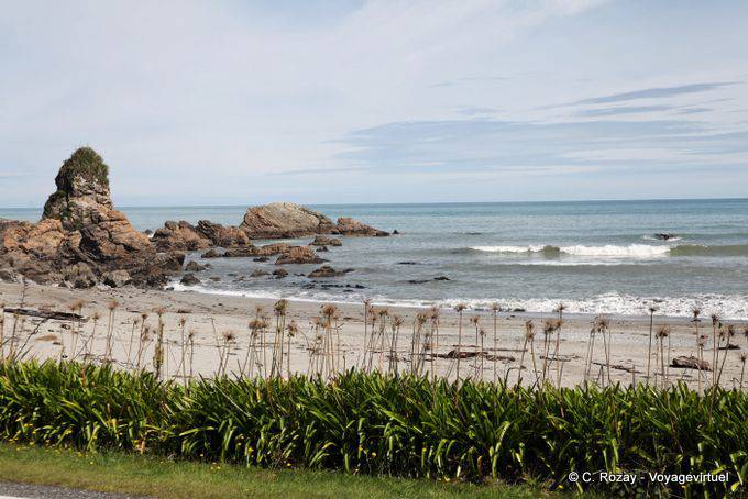 Paparoa Park Woodpecker Bay, Westcoast - New Zealand