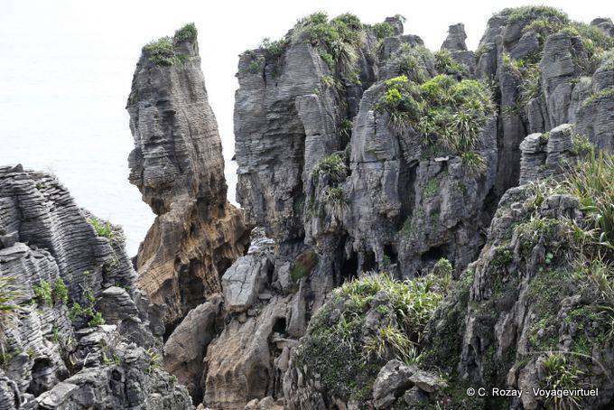 Under construction Stacks, Punakaiki, Westcoast - New Zealand