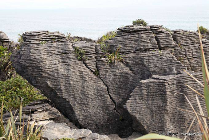 Curious limestone formation of Pancake Rocks, Punakaiki, Westcoast - New Zealand