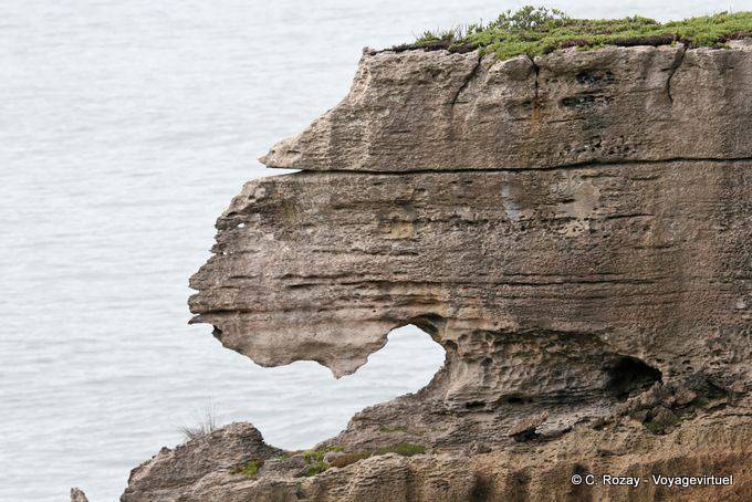 Erosion limestone, Punakaiki, Westcoast - New Zealand