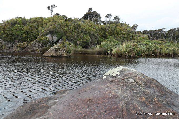 To Tauperikaka Point, Ship Creek, Westcoast - New Zealand