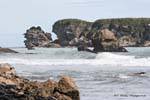 Coastal landscape, Paparoa Between Woodpecker And Hatters Bay, Westcoast, New Zealand.