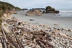 Wild beach, Paparoa Between Woodpecker And Hatters Bay, Westcoast, New Zealand.