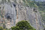 Staircase cliffs, Paparoa Park Irimahuwhero, Westcoast, New Zealand.
