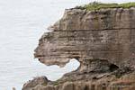 Erosion limestone, Punakaiki, Westcoast, New Zealand.
