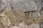 Layers of Pancake Rocks, Punakaiki, Westcoast, New Zealand.