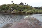 To Tauperikaka Point, Ship Creek, Westcoast, New Zealand.