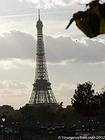 Leaning view of the Eiffel Tower, Paris, France.