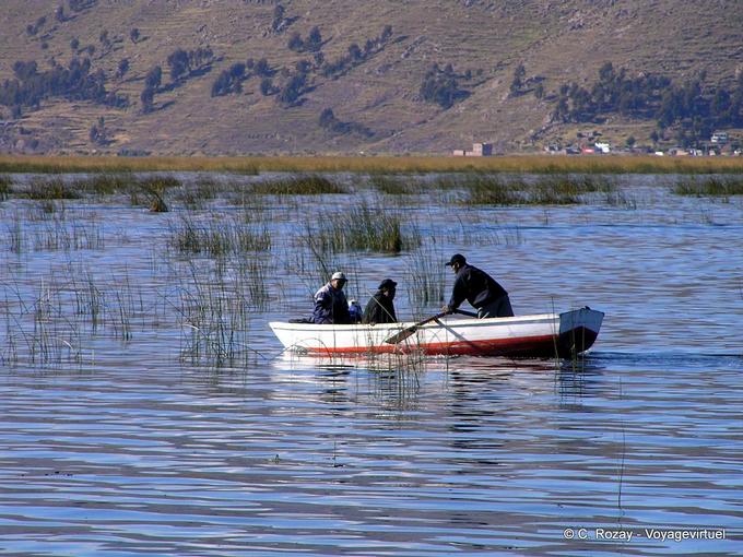 Between the reeds off Puno, Lake Titicaca -Peru