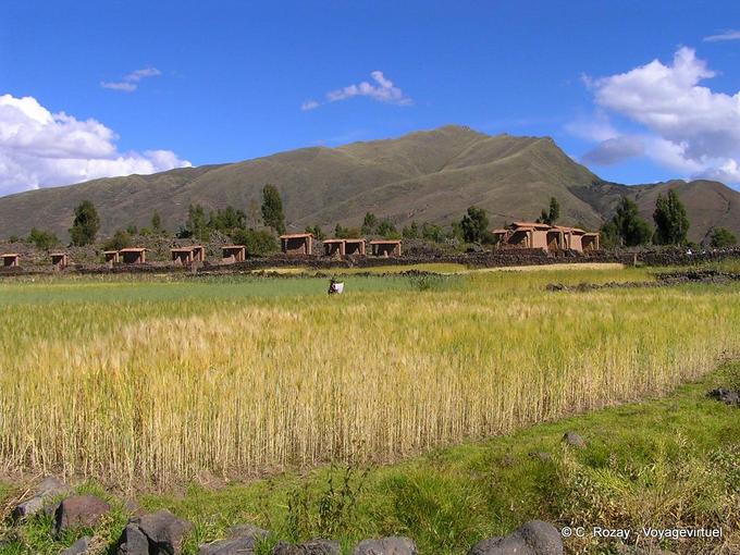 Panorama Raq'chi -Peru