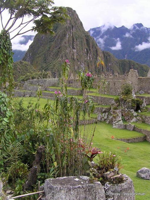 Remains of buildings in a bucolic setting, Machu Picchu -Peru