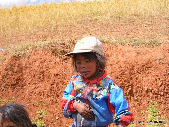 Blueberries, the little Peruvian Moray -Peru