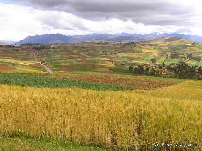 Color mosaic realized by cultivated fields to Chinchero -Peru