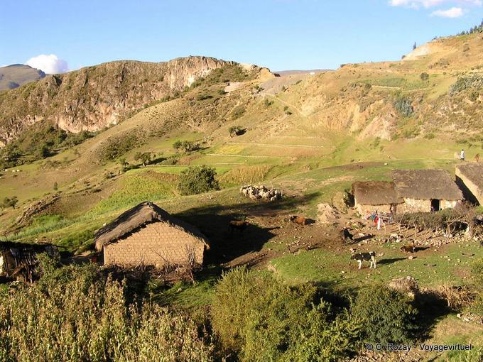 Farm lost mountain area of ​​Uripa -Peru