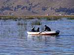 Between the reeds off Puno, Lake Titicaca, Peru.