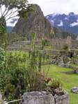 Remains of buildings in a bucolic setting, Machu Picchu, Peru.