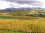 Color mosaic realized by cultivated fields to Chinchero, Peru.