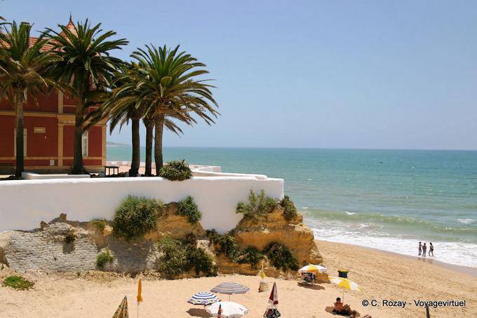Albufeira, the palm trees by the sea - Portugal