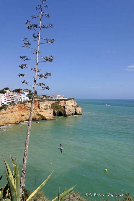 The symbol of the Algarve and cliffs of Carvoeiro - Portugal