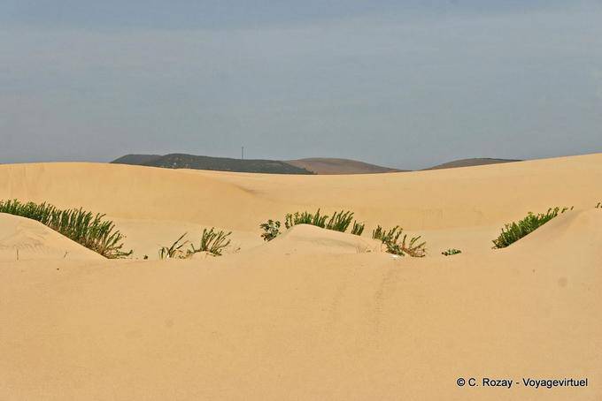 Between the sand dunes, Carrapateira - Portugal