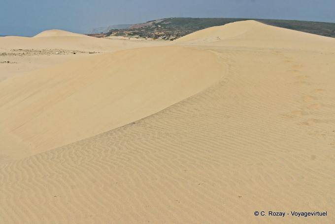 The huge dunes of Carrapateira - Portugal