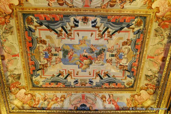 The ceiling of the Biblioteca Joanina, Coimbra - Portugal