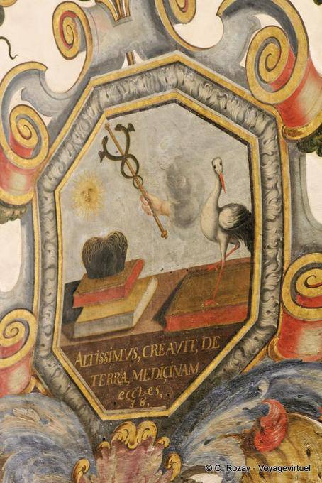 Faculty of Medicine, (altissimus creavit terra medicinam), Coimbra - Portugal