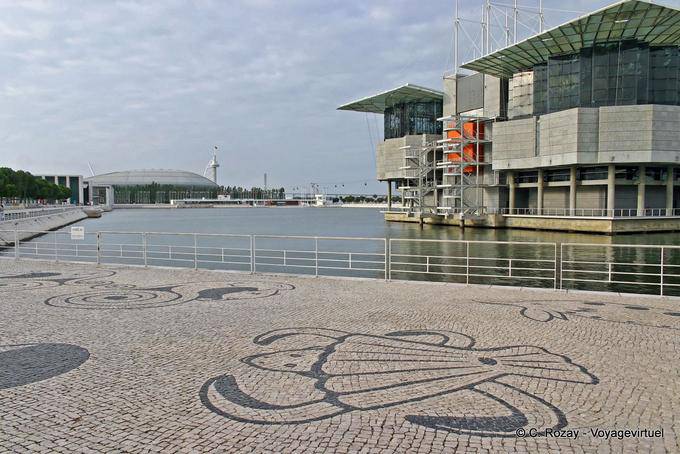 The large basin at the foot of the Lisbon Oceanarium - Portugal